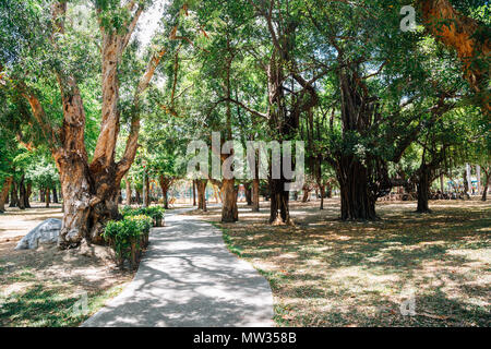 Central Park La natura vista in Kaohsiung, Taiwan Foto Stock