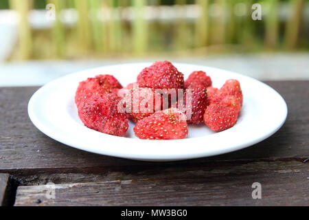 Congelare le fragole secche sulla tabella in legno Foto Stock