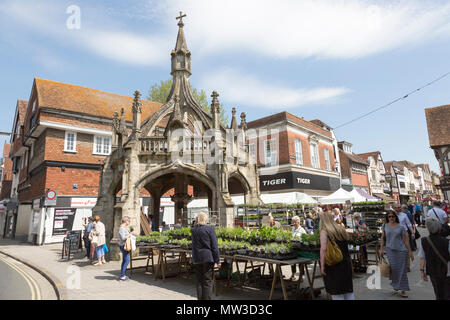 Croce di mercato noto come croce di pollame, Salisbury, Wiltshire, Inghilterra, Regno Unito Foto Stock