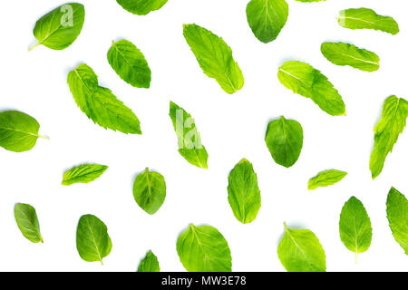 Foglie di menta fresca su sfondo bianco, foglie pattern, vista dall'alto Foto Stock