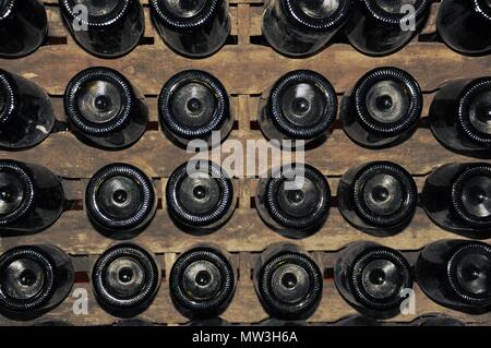 Invecchiamento del vino in bottiglia capovolta sul rack in legno in cantina, primo piano Foto Stock