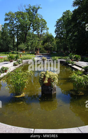 Laghetto con fontana, pesci e piante acquatiche nel giardino estivo nei pressi di Wilanow Palace, Polonia Foto Stock