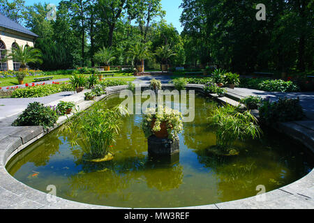 Laghetto con fontana pesci e piante acquatiche nel giardino estivo nei pressi di Wilanow Palace, Polonia Foto Stock