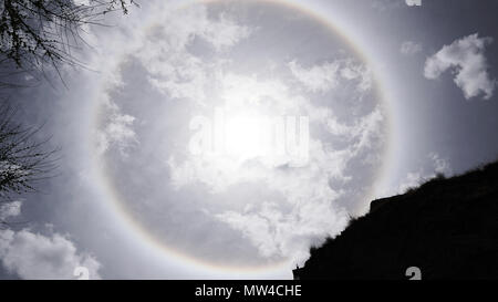 Sun alogeno e rami di alberi con cielo chiaro Foto Stock