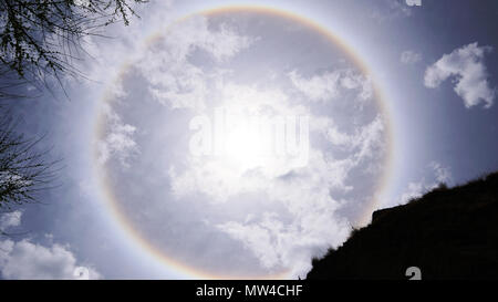 Sun alogeno e rami di alberi con cielo chiaro Foto Stock