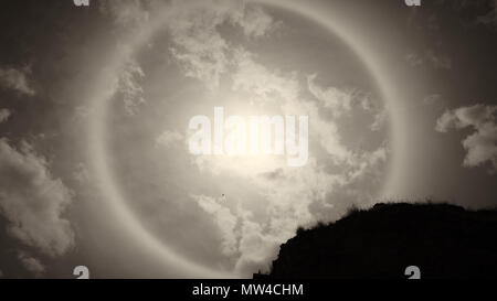 Sun alogeno e rami di alberi con cielo chiaro Foto Stock