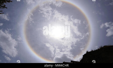 Sun alogeno e rami di alberi con cielo chiaro Foto Stock