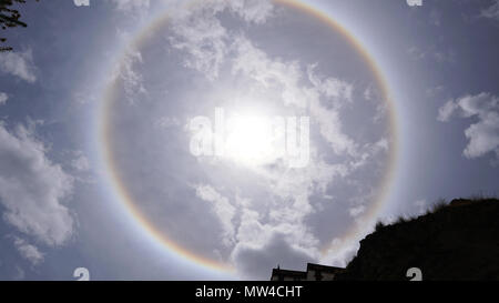 Sun alogeno e rami di alberi con cielo chiaro Foto Stock