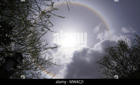 Sun alogeno e rami di alberi con cielo chiaro Foto Stock