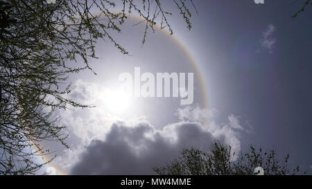 Sun alone bianco alcuni rock e i rami degli alberi sulla giornata di sole Foto Stock