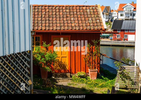 Piccolo giardino costiero con un percorso fino ad un molo privato. Vecchio capannone colorato con vasi da fiori all'esterno. Kladesholmen fuori Tjorn, Svezia. Foto Stock