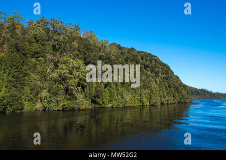 Alberi riflessa nel fiume Gordon, costa Ovest della Tasmania Foto Stock