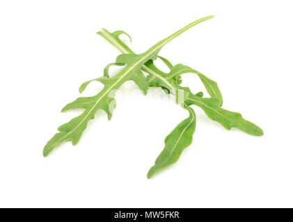 Fresche foglie di rucola su sfondo bianco closeup Foto Stock