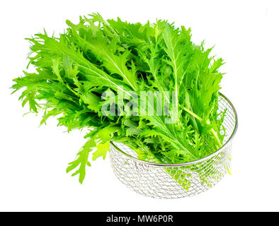 Il verde delle foglie di cavolo giapponese mizun. Foto Studio Foto Stock