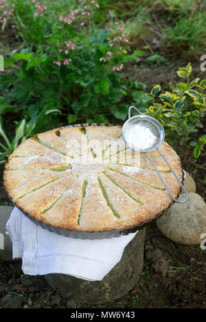 Una grande torta fatta in casa con strisce di rabarbaro in forma di stagno. In stile rustico, il fuoco selettivo. Foto Stock