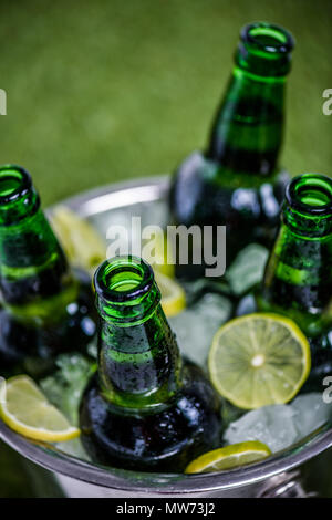 Vista ingrandita del secchio pieno di ghiaccio a cubetti con apertura di bottiglie di birra e le fette di limone su erba verde Foto Stock