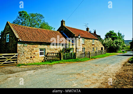 Frate Fattoria, Darnholme Goathland, North Yorkshire, Inghilterra Foto Stock