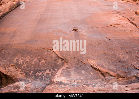 Anfashieh iscrizioni preistoriche e petroglyps su un muro di pietra. Arte rupestre raffigurante una carovana di cammelli da Nabatean e periodo Thamudic a Wadi Ru Foto Stock