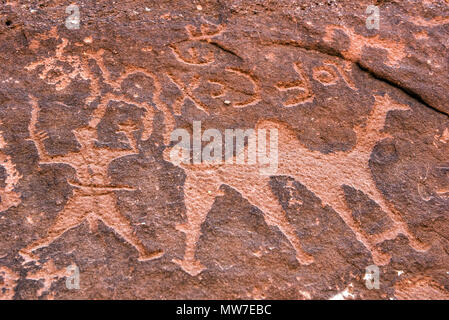 Anfashieh iscrizioni preistoriche e petroglyps su un muro di pietra. Arte rupestre raffigurante una carovana di cammelli da Nabatean e periodo Thamudic a Wadi Ru Foto Stock