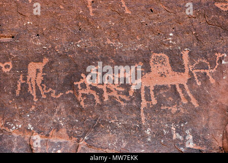Anfashieh iscrizioni preistoriche e petroglyps su un muro di pietra. Arte rupestre raffigurante una carovana di cammelli da Nabatean e periodo Thamudic a Wadi Ru Foto Stock