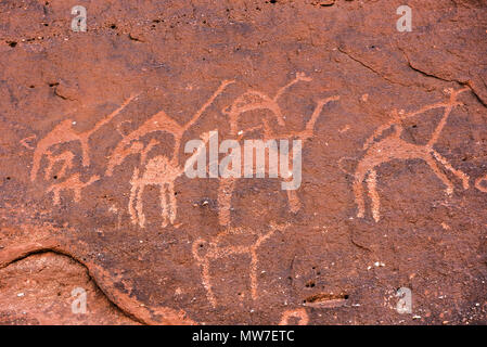 Anfashieh iscrizioni preistoriche e petroglyps su un muro di pietra. Arte rupestre raffigurante una carovana di cammelli da Nabatean e periodo Thamudic a Wadi Ru Foto Stock
