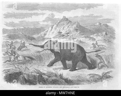 . Inglese: Arabian elephant Hunt, 1866 . 14 agosto 2013, 08:16:54. Unknown 54 Arabian Elephant Hunt Foto Stock