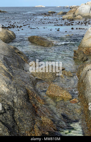 Kelp sulla spiaggia boulders, garden route, sud africa Foto Stock