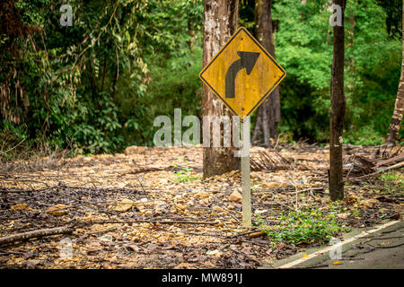 Cartello stradale ruotare nella foresta di pioggia Foto Stock