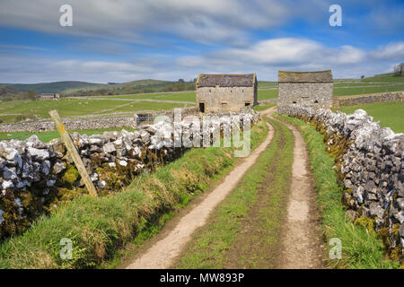 Granai vicino a Hartington nel Parco Nazionale di Peak District. Foto Stock