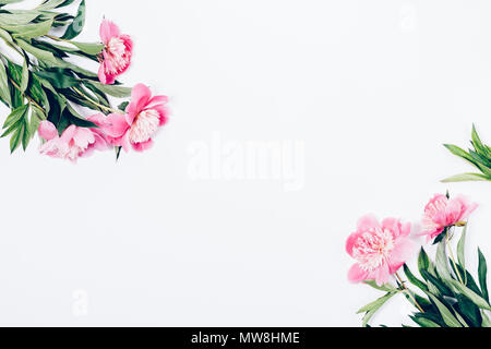 Piatto floreale disposizione laici con fiori di colore rosa su sfondo bianco. Cornice fatta di peonia mazzi con centro vuoto, vista dall'alto. Foto Stock