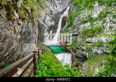 Cascata Savica a Lago di Bohinj in Slovenia, sulle Alpi Giulie Foto Stock