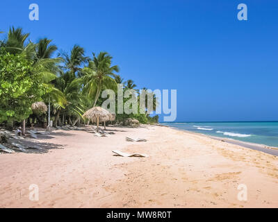 Palme da cocco sulla popolare Canto de la Playa nell'isola di Saona, Parque Nacional del Este, parco nazionale orientale, Repubblica Dominicana. Spiaggia Paradiso in isola tropicale con sabbia bianca e il cielo sereno. Foto Stock