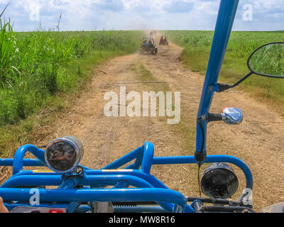 Buggy 2024 ride della