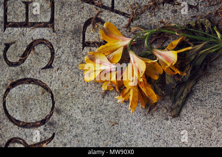 Fiori di colore giallo a sinistra su una tomba Foto Stock