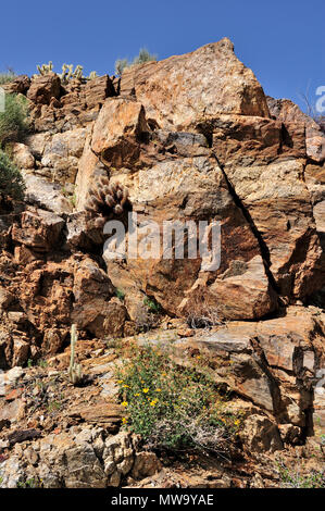 Monzogranite rock con vena Aplitic, Cool Canyon, Anza-Borrego State Park, CA 100327 35205 Foto Stock