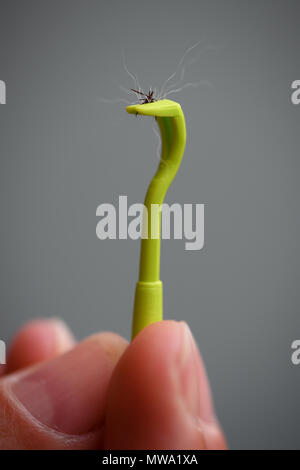 Una plastica verde tick remover completare con un segno di spunta rimossi da un cane con ciuffo di capelli. Foto Stock