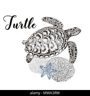 Disegnato a mano stile sketch turtle, i coralli e la stella di mare isolato su sfondo bianco. Illustrazione Vettoriale. Illustrazione Vettoriale