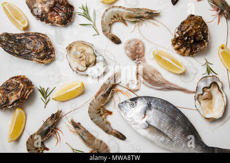 Selezione di pesce crudo prodotti con erbe e limoni isolato su bianco Foto Stock
