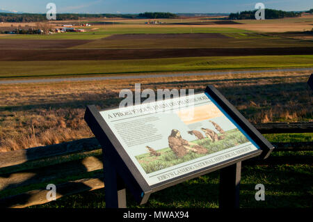 Prairie si affacciano, Ebey's Landing National Historic Reserve, Washington Foto Stock