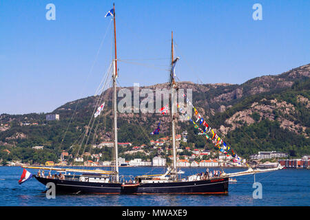 Tall Ships Race Bergen, Norvegia 2014. Dutch topsail schooner Wylde Swan arrivando a Byfjorden, Bergen, Norvegia. Foto Stock