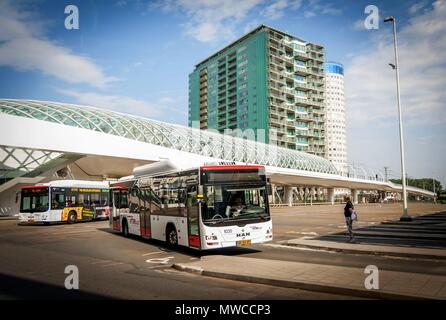 L'Aia (Den Haag), Paesi Bassi. Luglio 19, 2017. White HTMBuzz autobus presso la stazione centrale dell'Aia. I passeggeri in attesa. Foto Stock