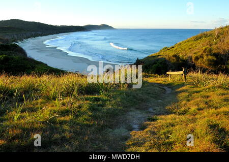 Nel tardo pomeriggio a testa erbosa beach, NSW, sul litorale orientale dell'Australia. Foto Stock