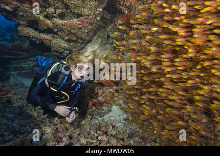 Fuvahmulah Isola, Oceano Indiano, Maldive. Xi Febbraio, 2018. Femmina sub guardare a scuola di glassfish in grotta. Pesce di vetro o scopa pigmea Credito: Andrey Nekrasov/ZUMA filo/ZUMAPRESS.com/Alamy Live News Foto Stock