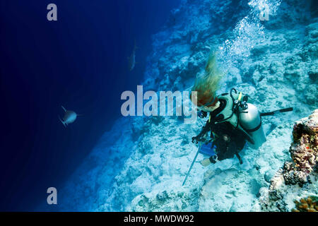 Marzo 13, 2018 - Isola (Atoll) Fuvahmulah, India, Maldive - Femmina scuba diver guarda un squalo tigre Credito: Andrey Nekrasov/ZUMA filo/ZUMAPRESS.com/Alamy Live News Foto Stock