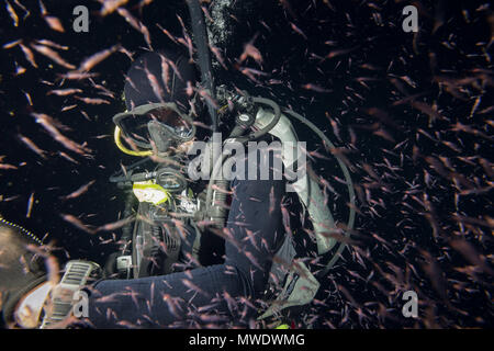 Oceano Indiano, Maldive. 24 Mar, 2018. Scuba Diver nella massa del krill nella notte Credito: Andrey Nekrasov/ZUMA filo/ZUMAPRESS.com/Alamy Live News Foto Stock