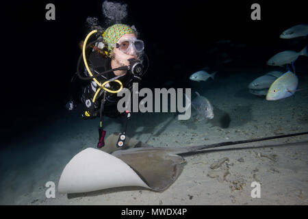 Oceano Indiano, Maldive. 2 apr, 2018. Femmina sub nuota con stingray nella notte. Whipray rosa o Banana-tail ray Credito: Andrey Nekrasov/ZUMA filo/ZUMAPRESS.com/Alamy Live News Foto Stock