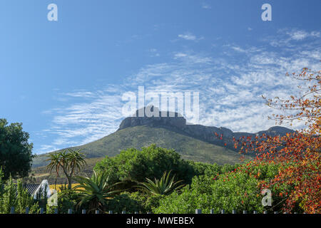 Jonkershoek montagne in Jonkershoek, natura del capo riserva naturale vicino a Stellenbosch, provincia del Capo Occidentale, Sud Africa Foto Stock