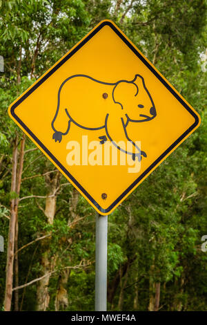 Cartello stradale avviso per gli utenti della strada ad essere consapevole di koala in zona Foto Stock