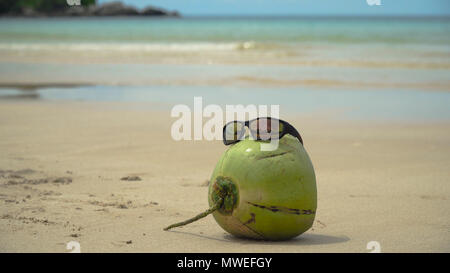Noce di cocco verde sulla sabbia di una spiaggia tropicale in occhiali da sole. Il Cocco divertente indossando occhiali da sole sulla spiaggia. Cocco fresco da Palm su di una spiaggia di sabbia. Filippine , El Nido. Concetto di viaggio. Foto Stock