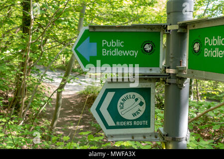 Un pubblico bridleway segno e uno per un percorso di piloti sul modo Icknield in Chilterns area di bellezza naturale, REGNO UNITO Foto Stock